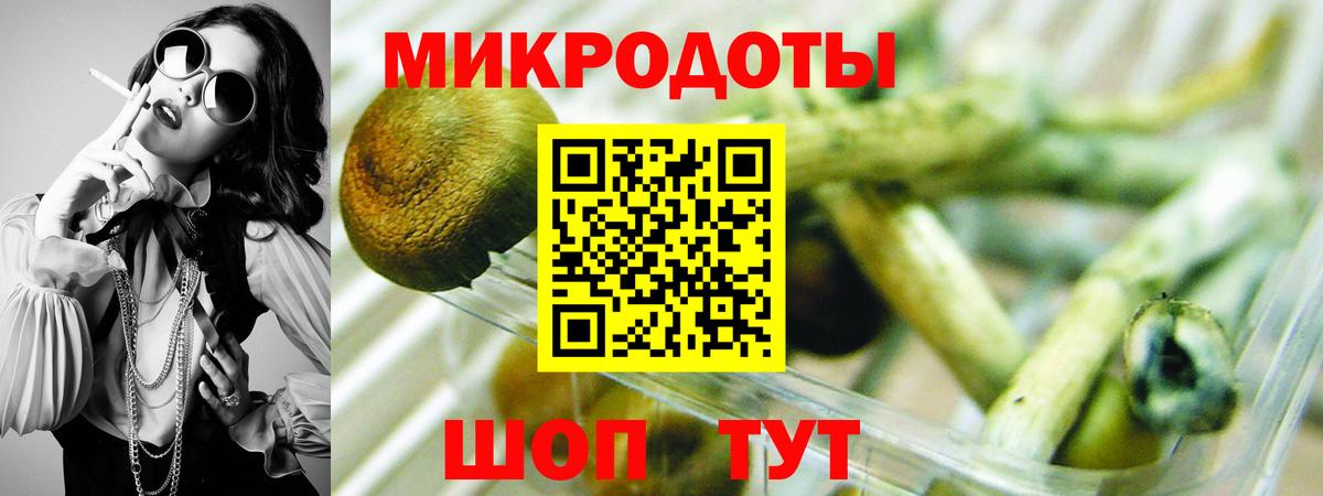 Галлюциногенные грибы Psilocybe Гагарин