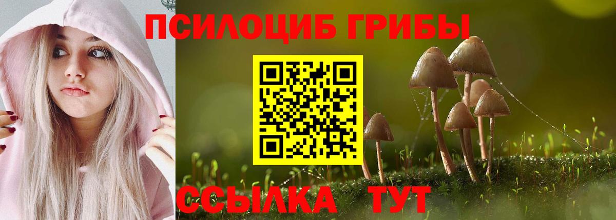 Галлюциногенные грибы Psilocybe  Вход с VPN  Гагарин 